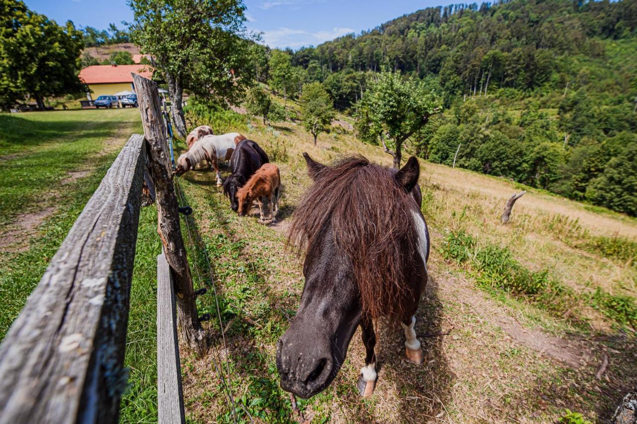 Apartament Eko Pony Ranch Ogrizek Podčetrtek Zewnętrze zdjęcie