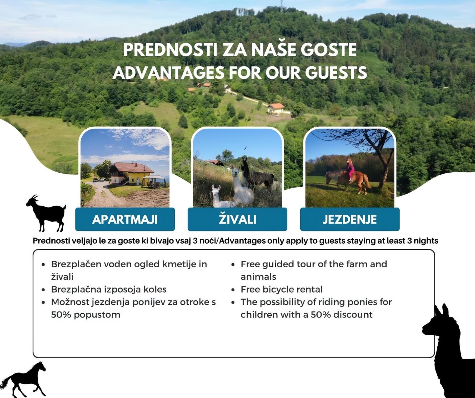Apartament Eko Pony Ranch Ogrizek Podčetrtek Zewnętrze zdjęcie